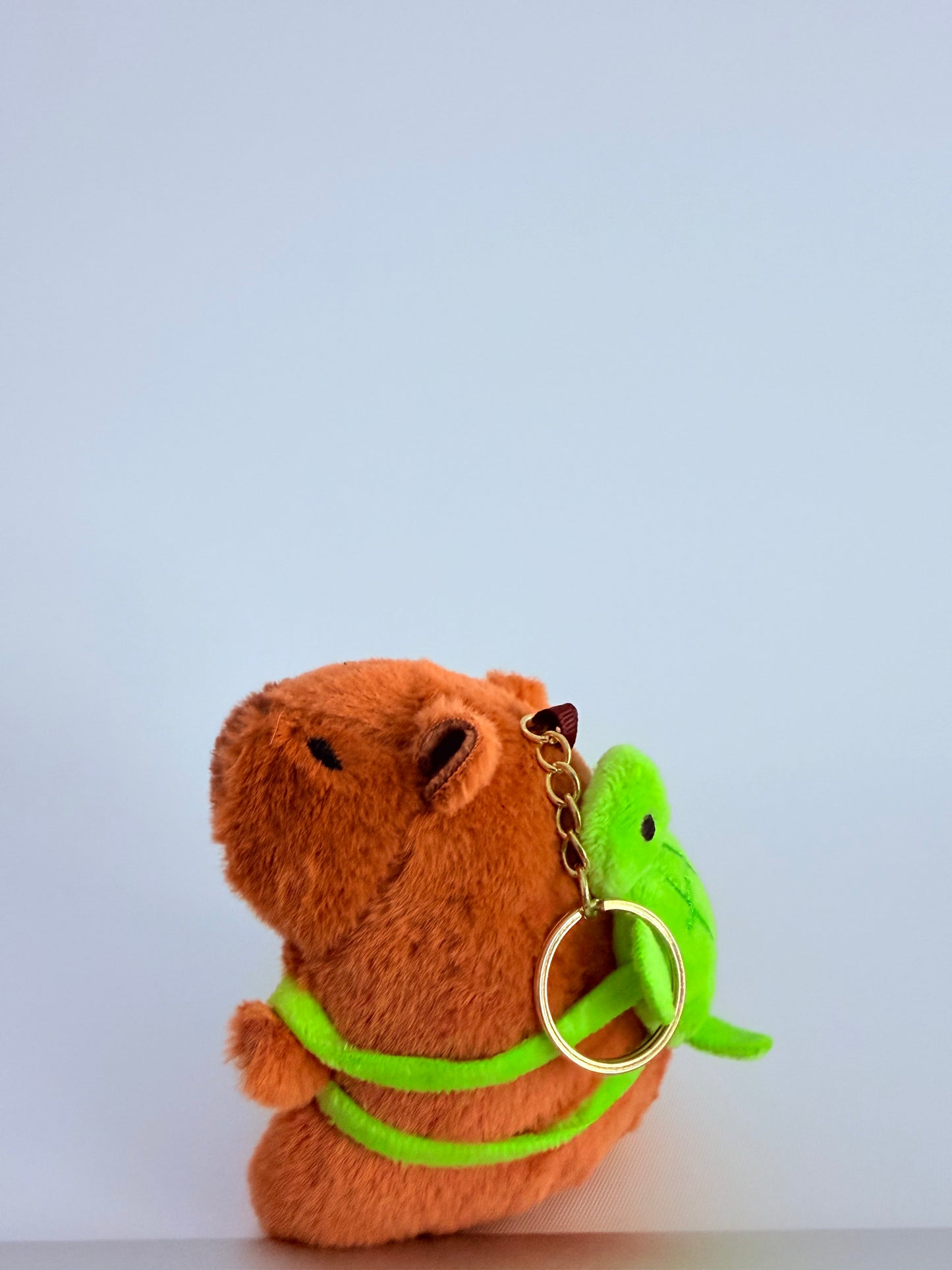 Capybara keychains