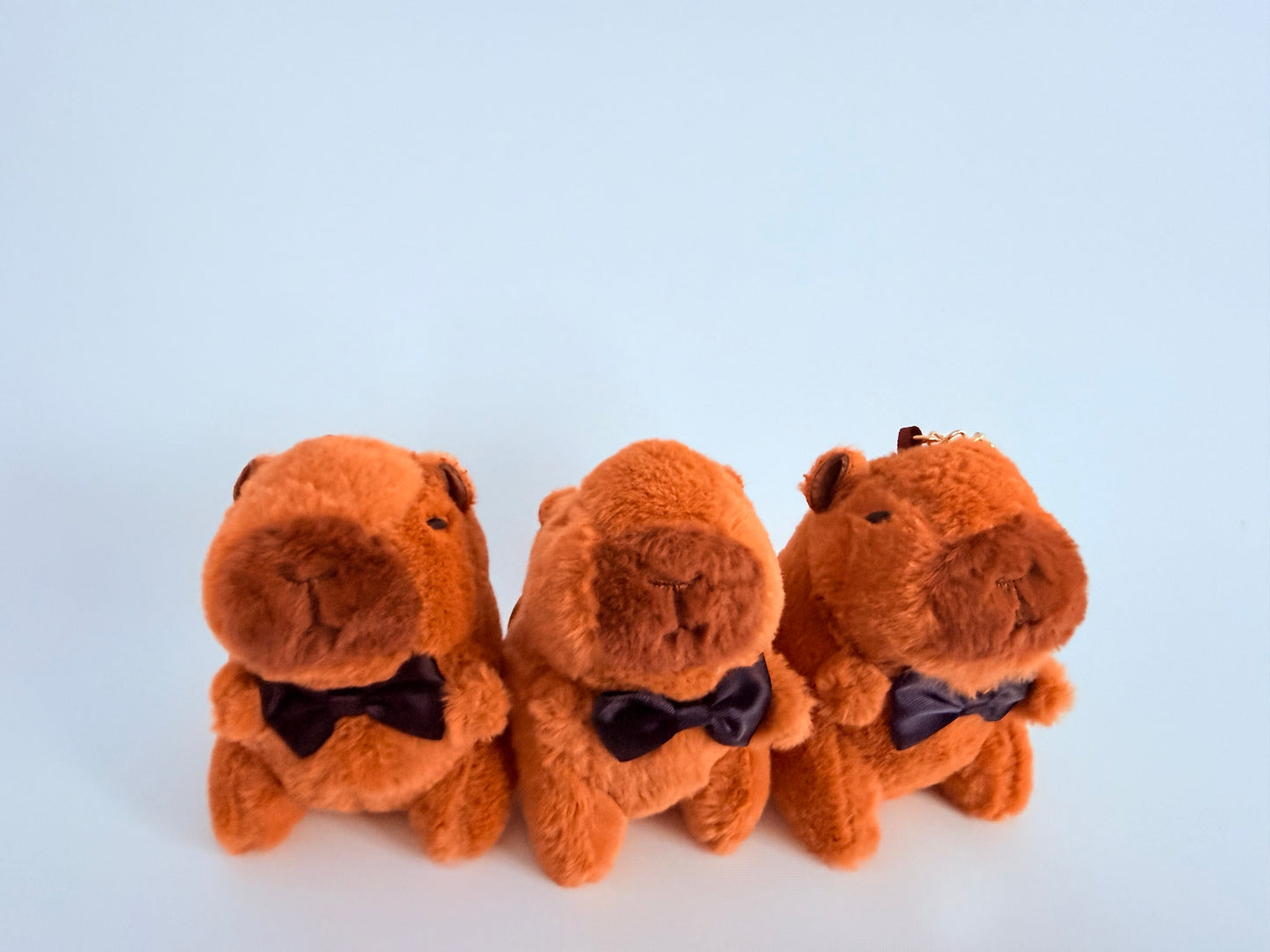 Capybara keychains