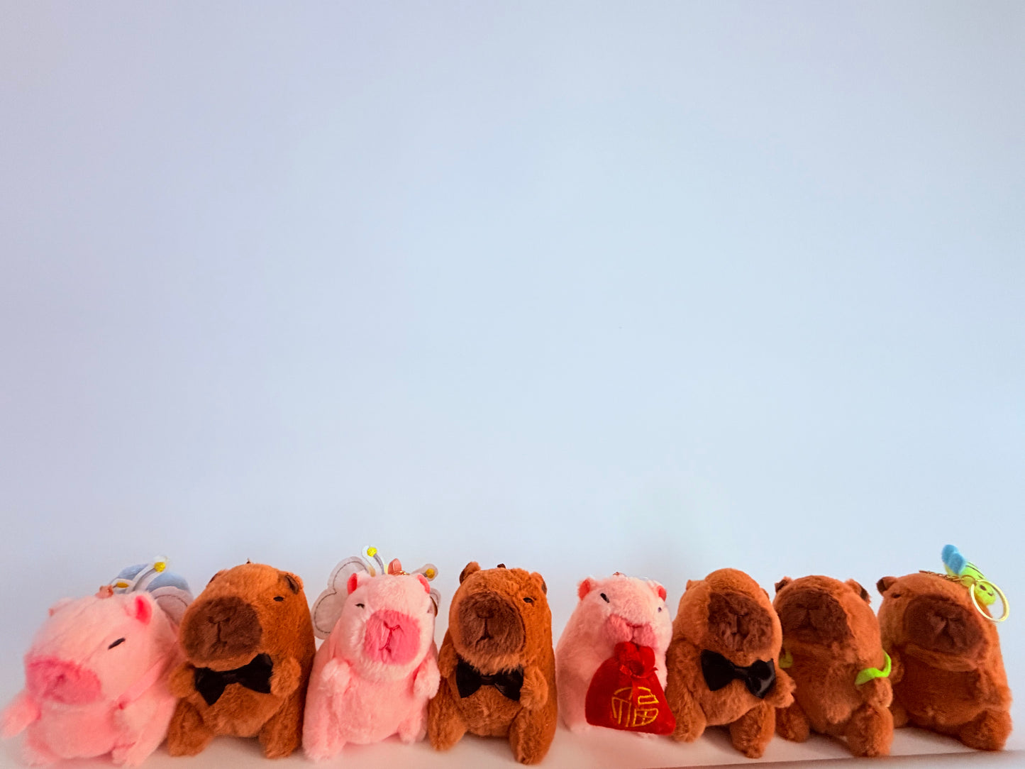 Capybara keychains