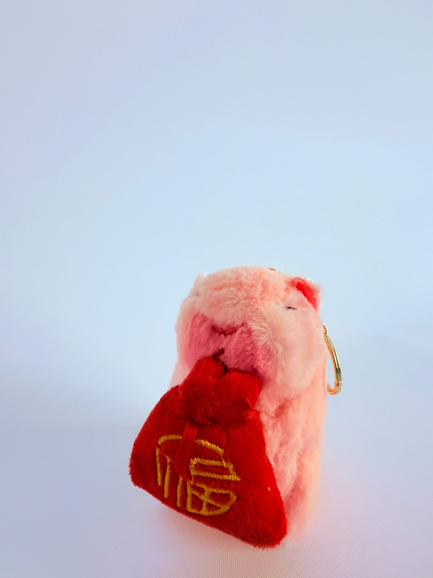 Capybara keychains